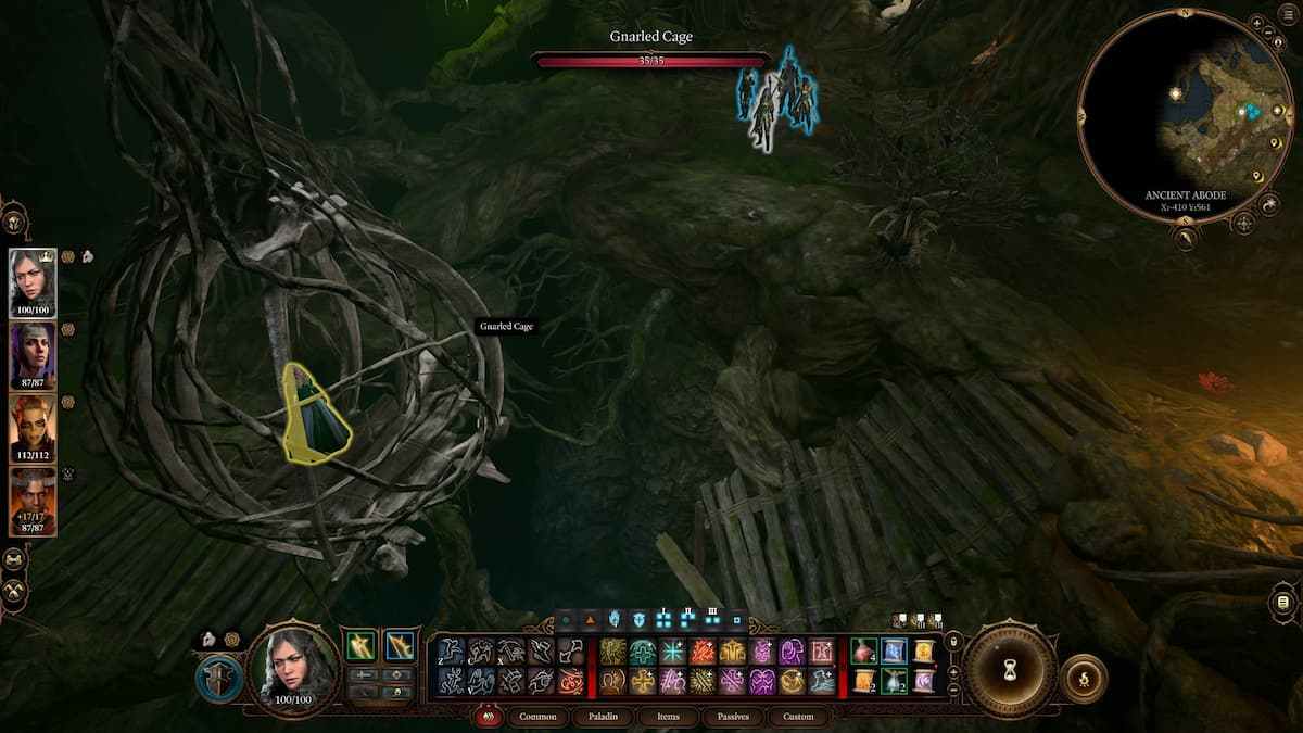 BG3 Overgrown Tunnel walkthrough - Auntie Ethel questline in Baldur's ...