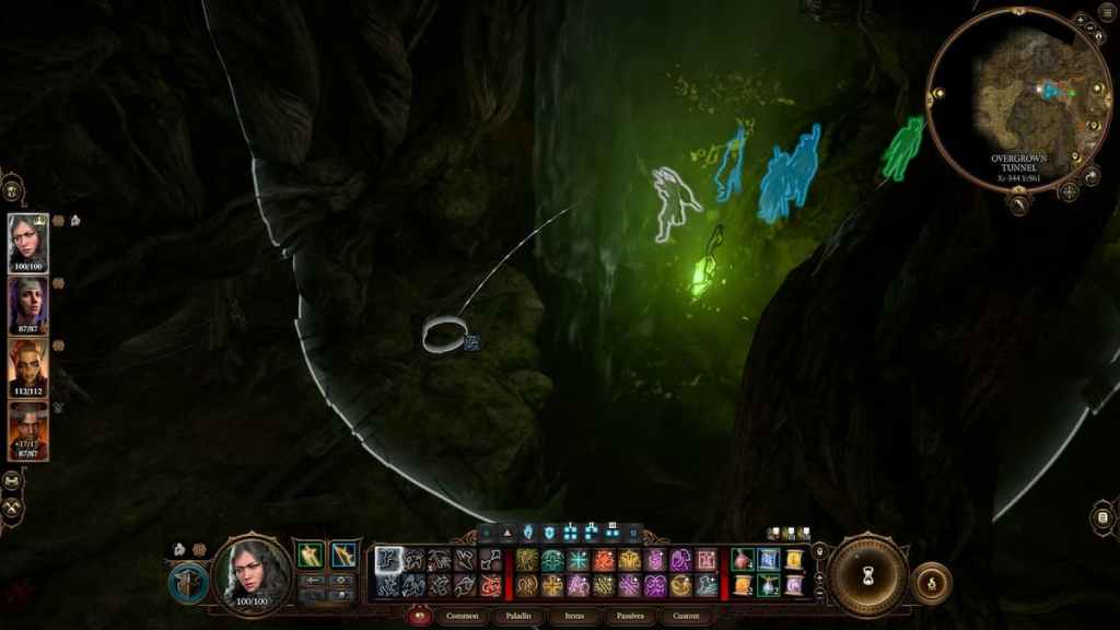 BG3 Overgrown Tunnel walkthrough Auntie Ethel questline in Baldur