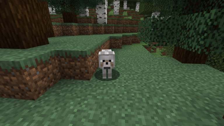 All Wolf variants and where to find them in Minecraft - Pro Game Guides