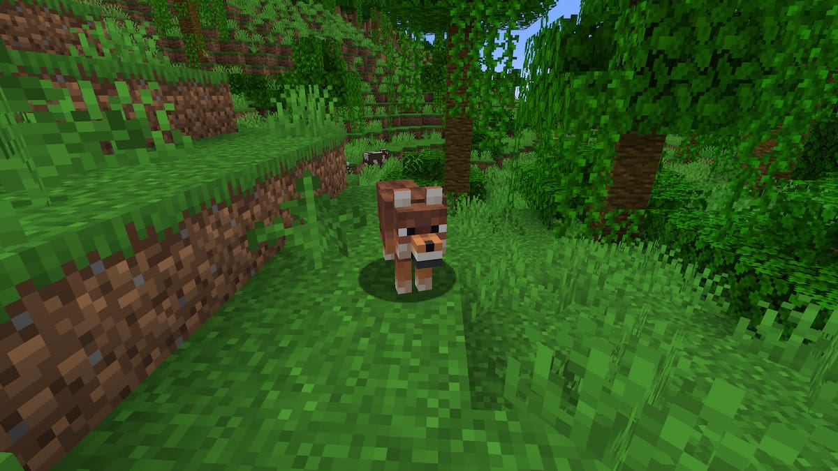 All Wolf variants and where to find them in Minecraft - Pro Game Guides