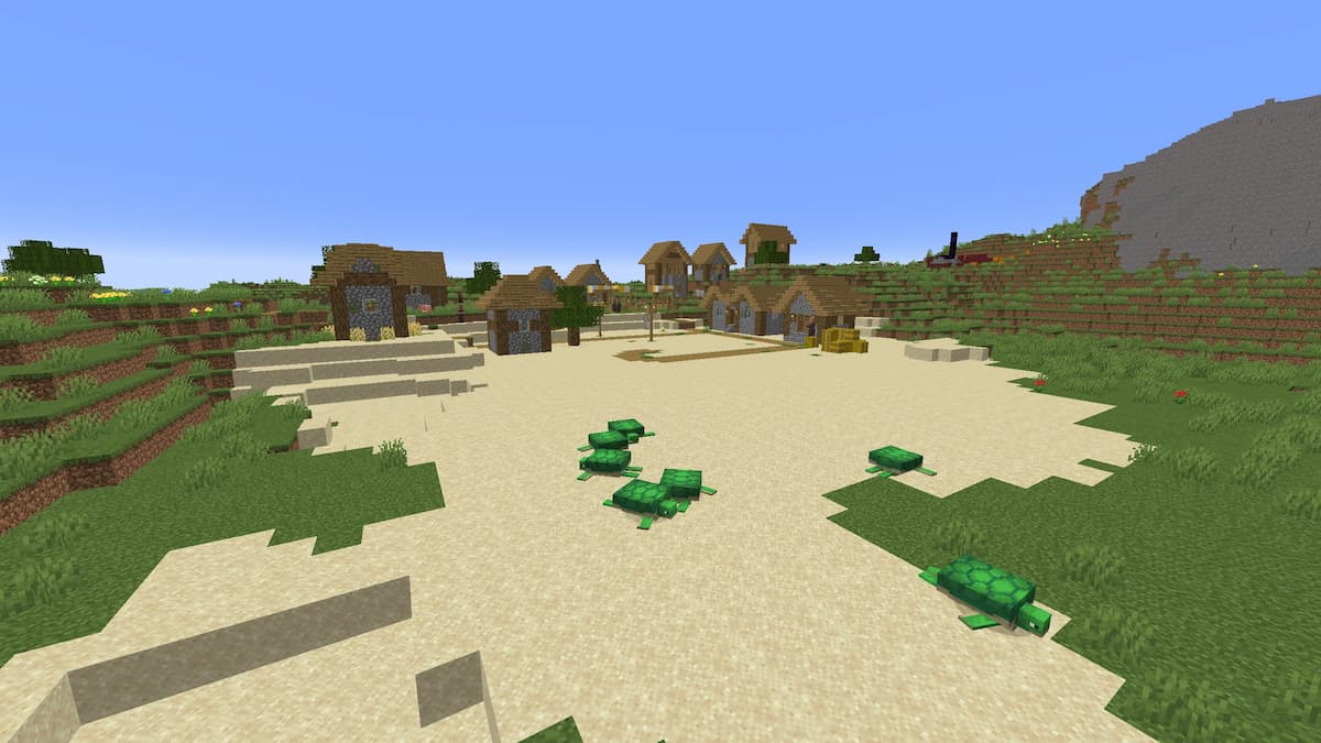 A sandy Beach biome with turtles in a Plains biome.
