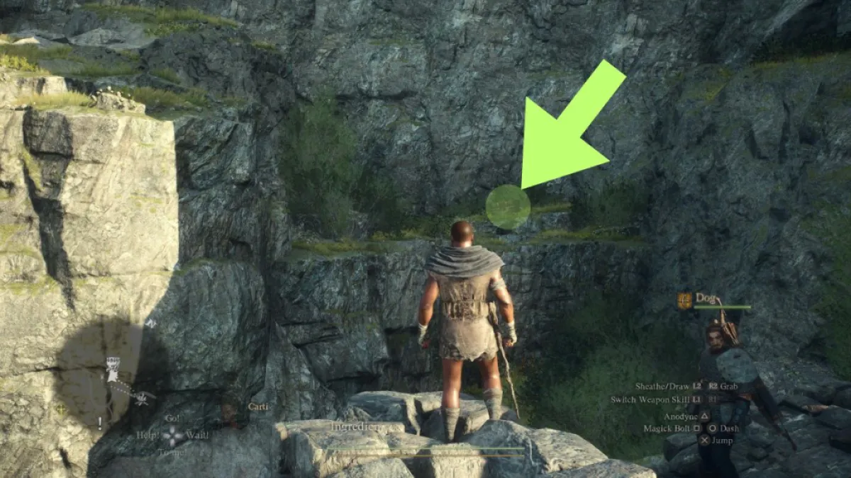 The "unreachable" chest at Gathering of the Beasts in Dragon's Dogma 2