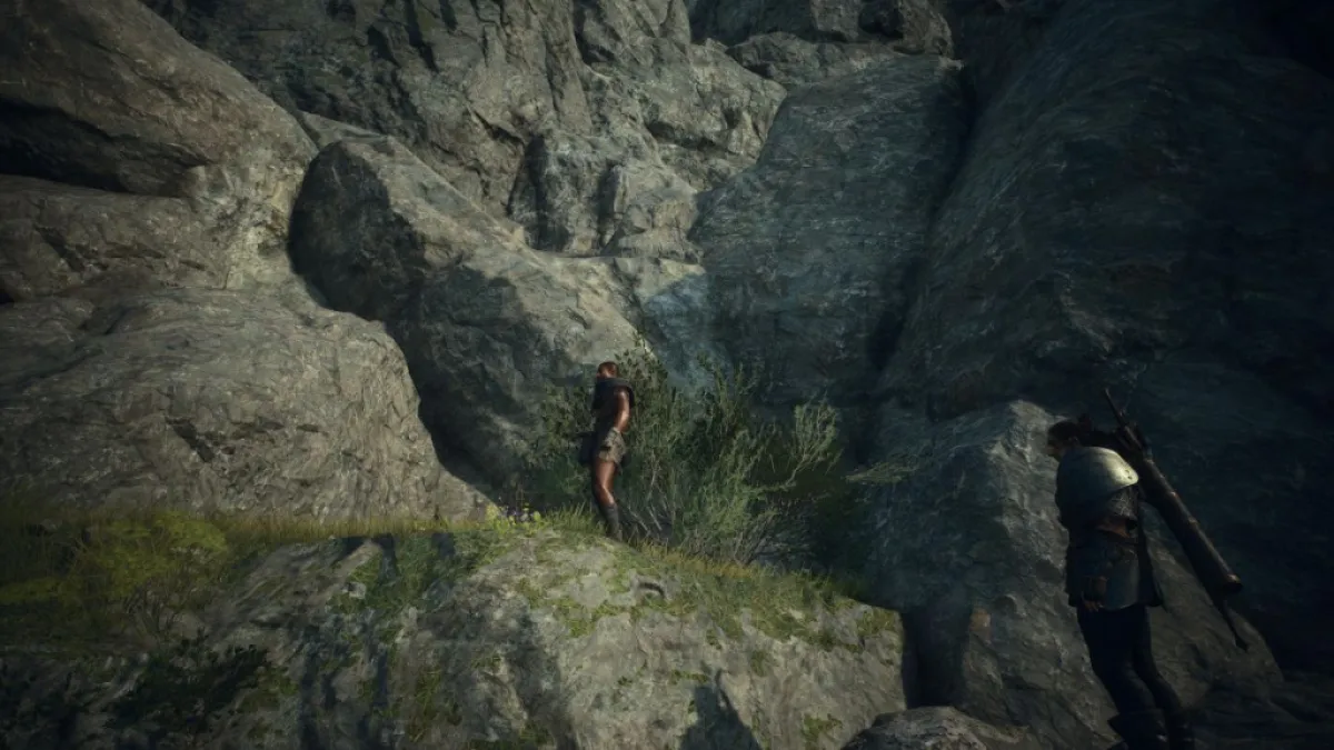 The janky cliff that can be climbed somehow at Gathering of the Beasts in Dragon's Dogma 2