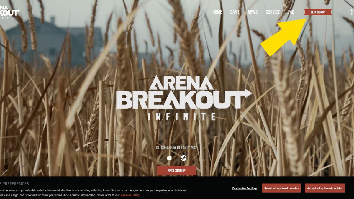 Arena Breakout Infinite official website
