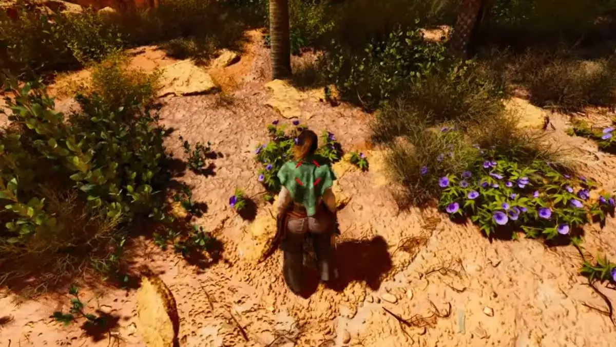 Purple Flowers in the Scorched Earth Island in Ark Survival Ascended