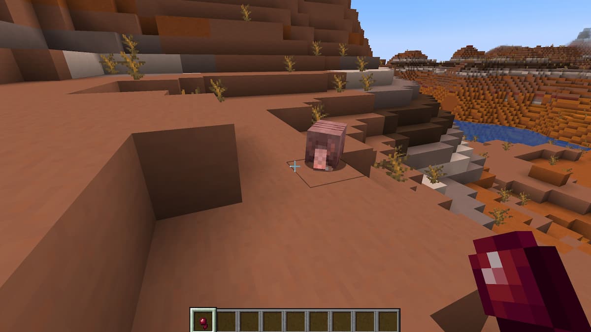 An armadillo following a player wearing a Spider Eye in Minecraft.
