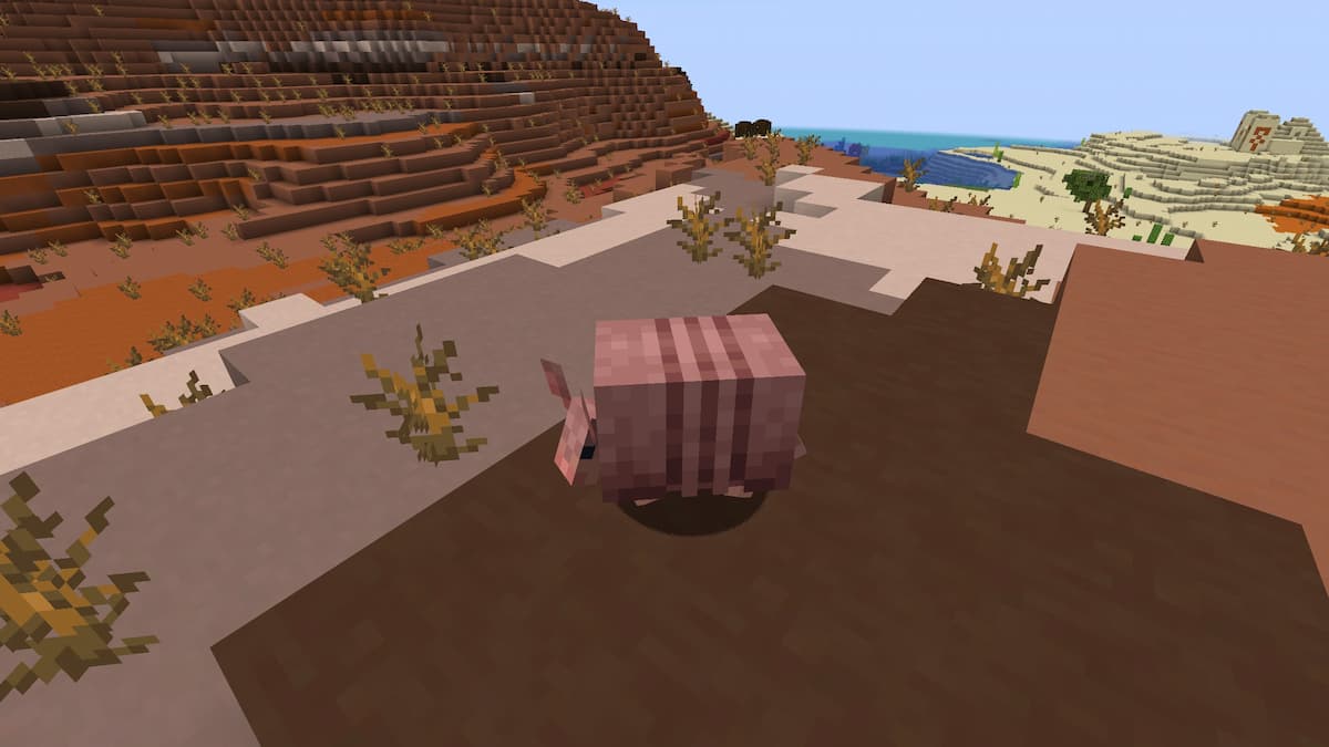 An Armadillo in the Minecraft Badlands biome.