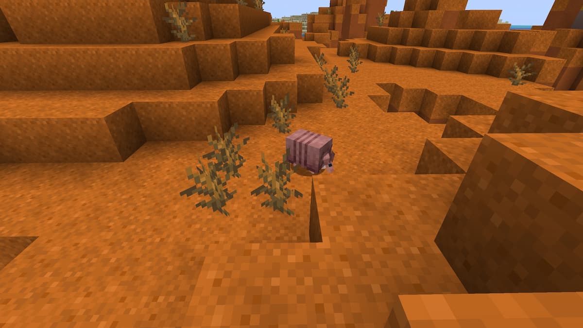 An Armadillo in the Minecraft Badlands.