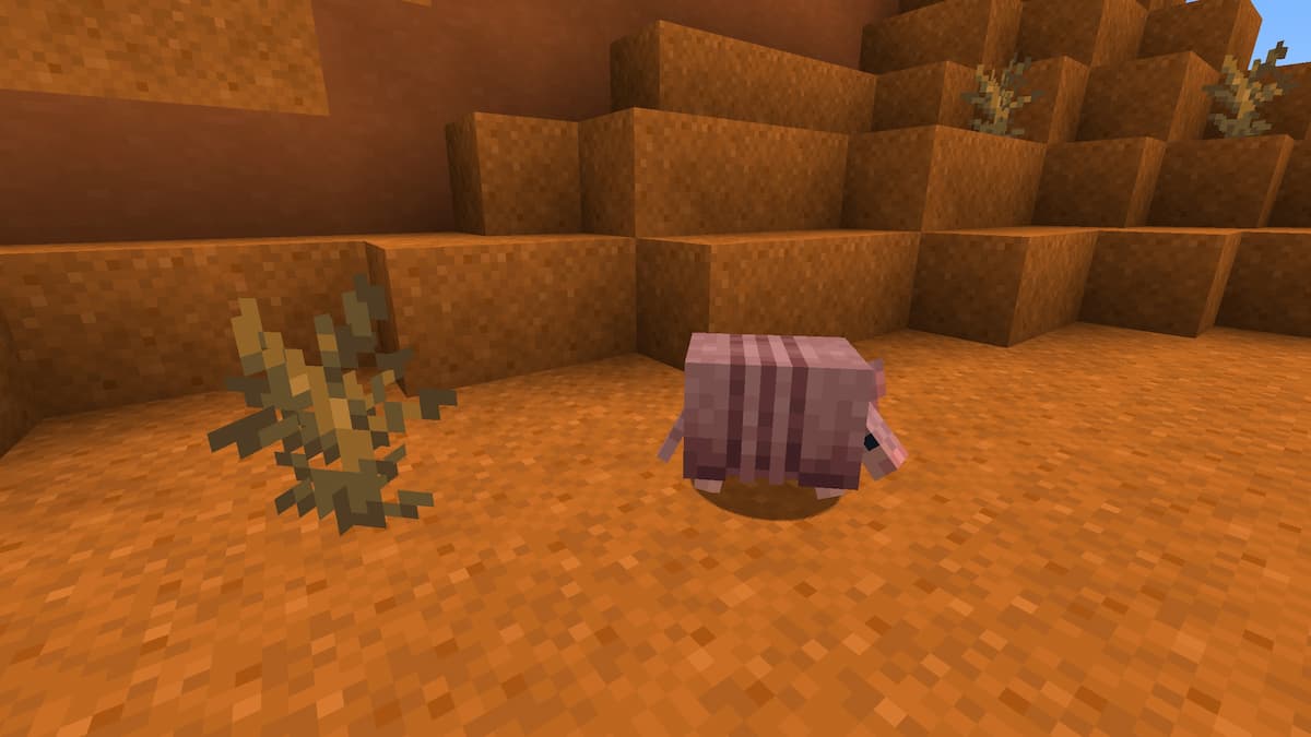 An Armadillo in Minecraft.