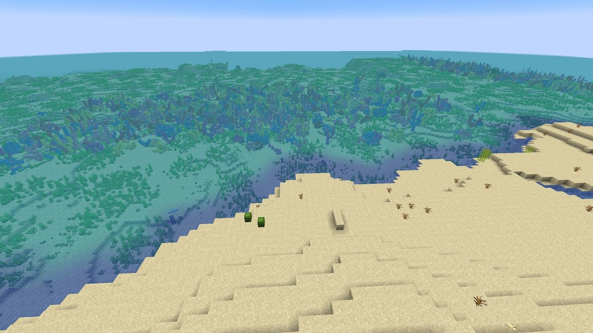 A Coral Reef on the edge of a Minecraft desert