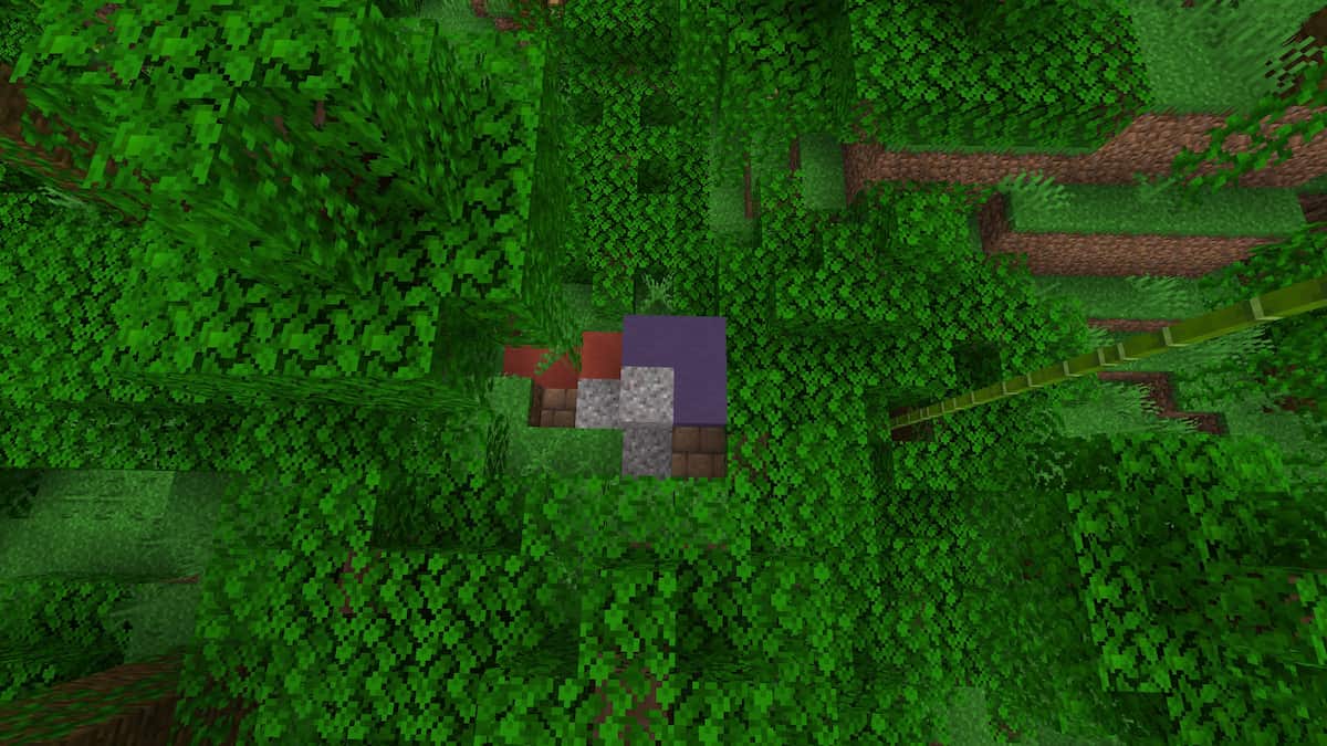 Red and purple Trail Ruins in a Jungle.