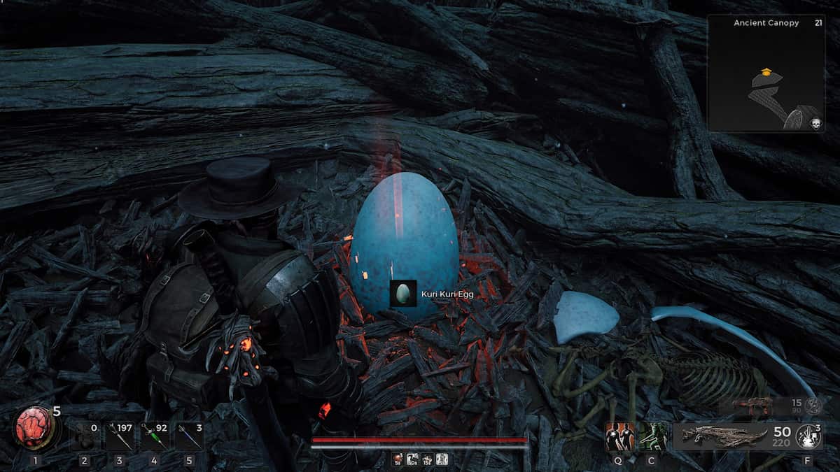 Kuri Kuri Egg in Remnant 2 Forgotten Kingdom