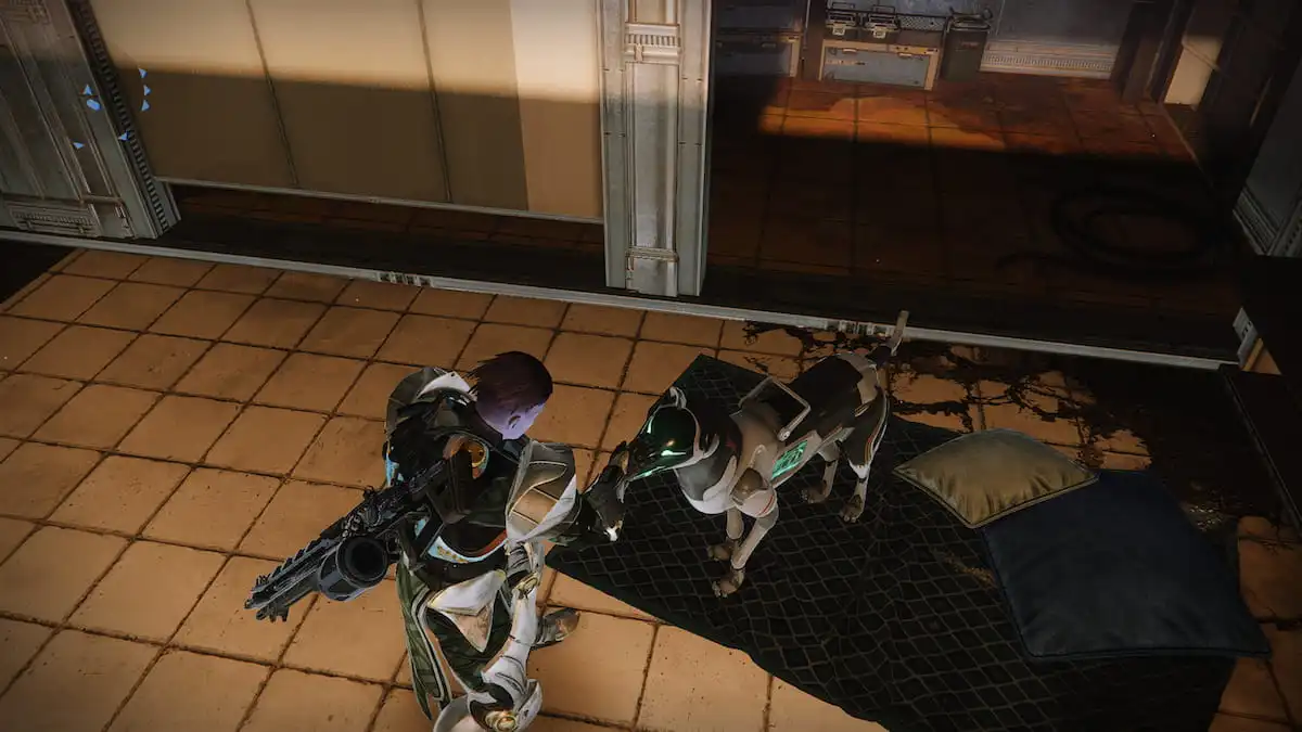 Player petting Archie in Destiny 2