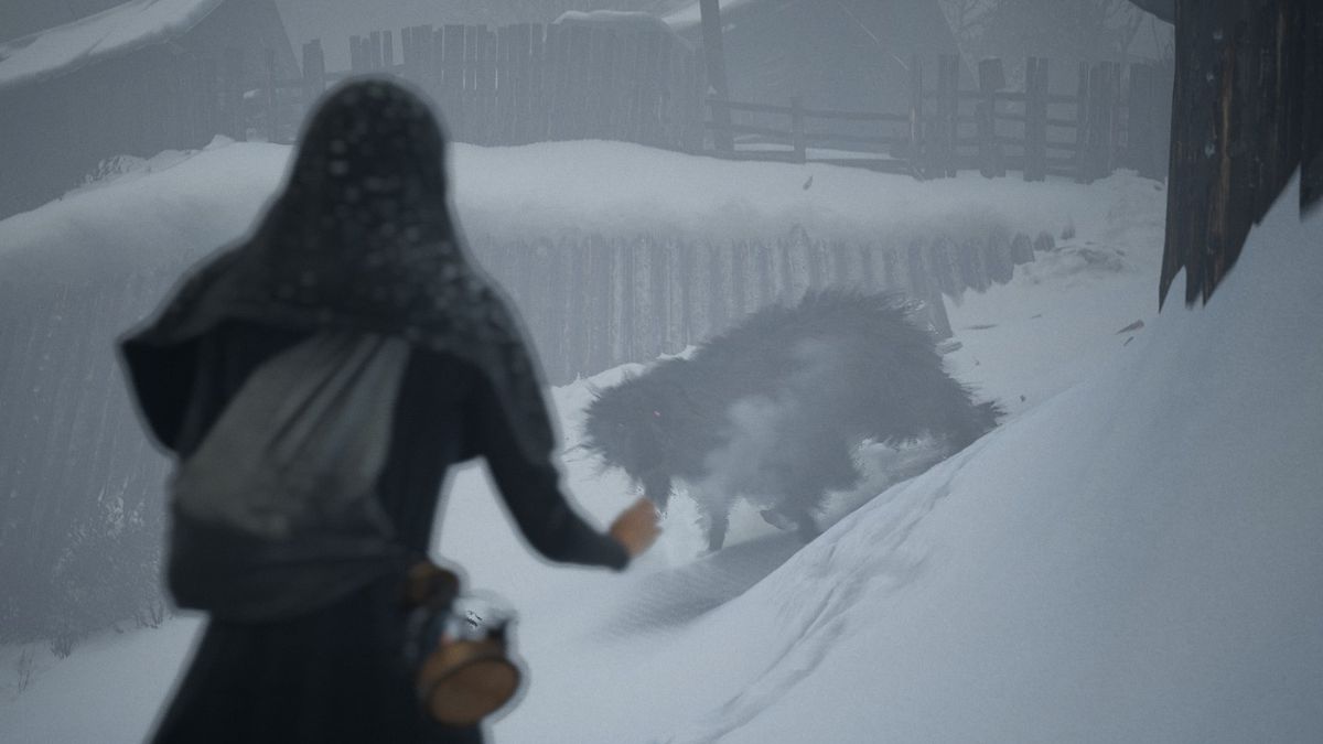 Feral dog attacking in INDIKA