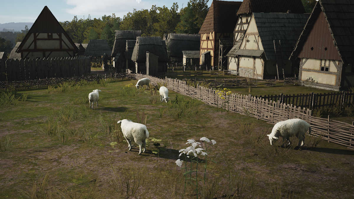 Как добыть овец в Manor Lords