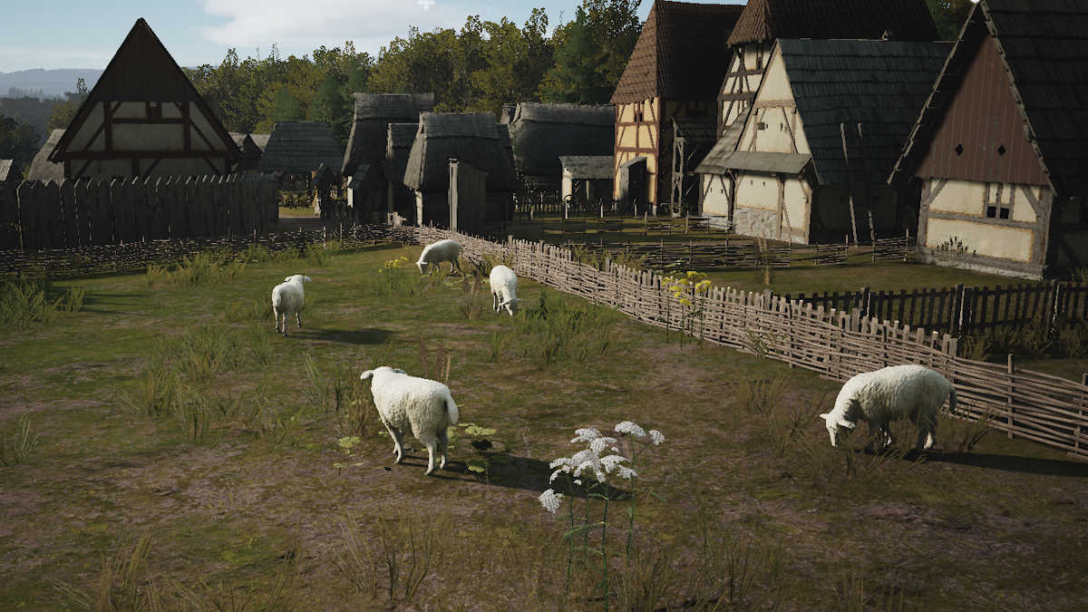 How to get sheep in manor lords pro game guides