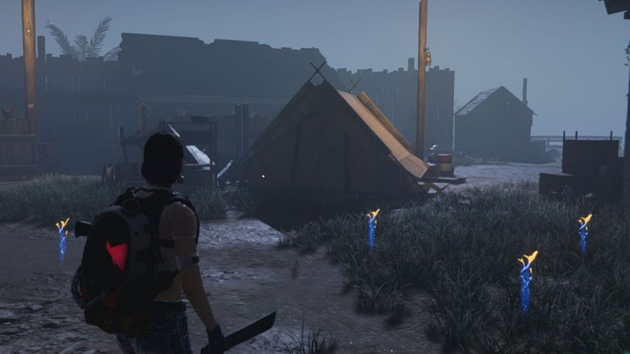 Player posts in the wild in Once Human