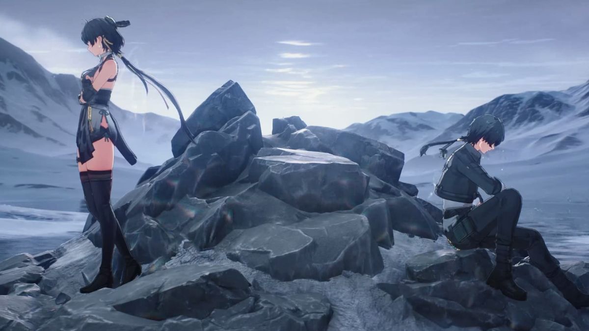 Wuthering Waves two Rovers