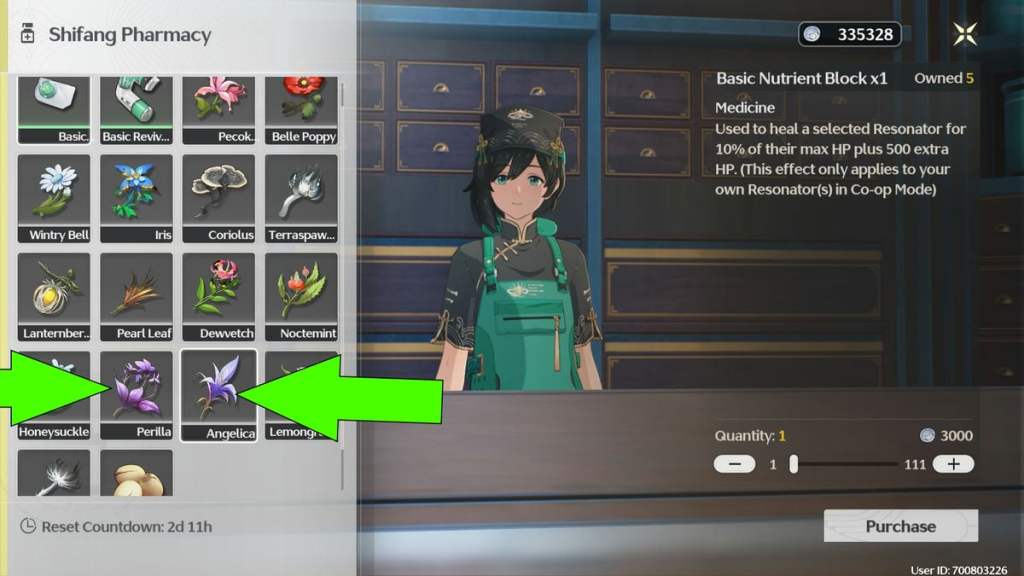 Shifang Pharmacy inventory with needed ingredients in Pharmacy in Wuthering Waves
