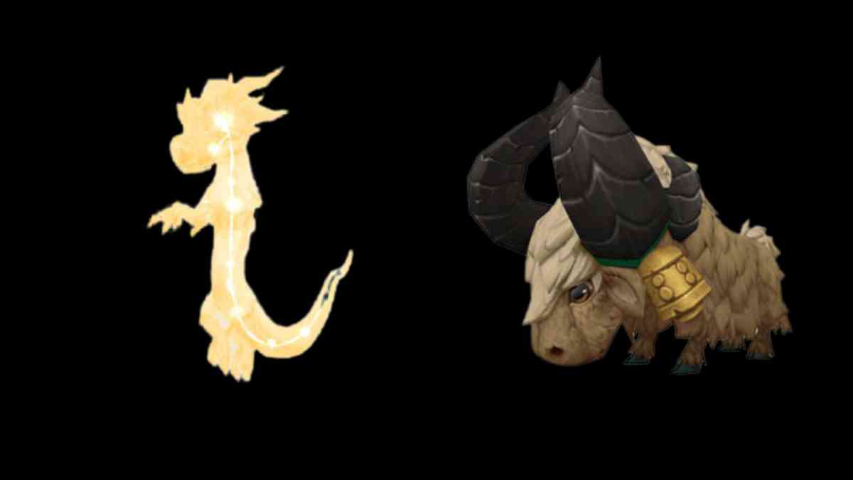 A picture of the two new World of Warcraft pets on a black background