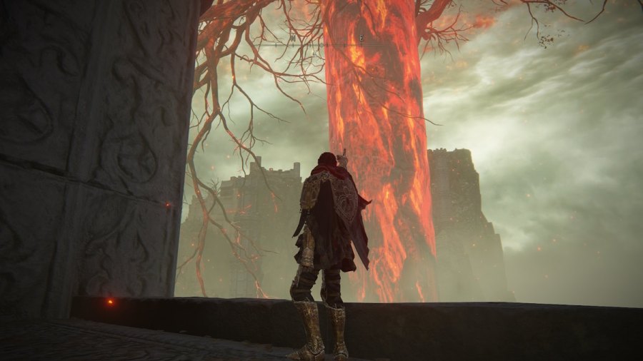 Pointing at the Erdtree in Elden Ring.