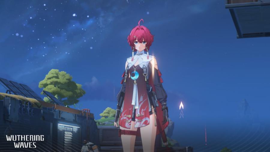 Wuthering Waves Danjin smiling