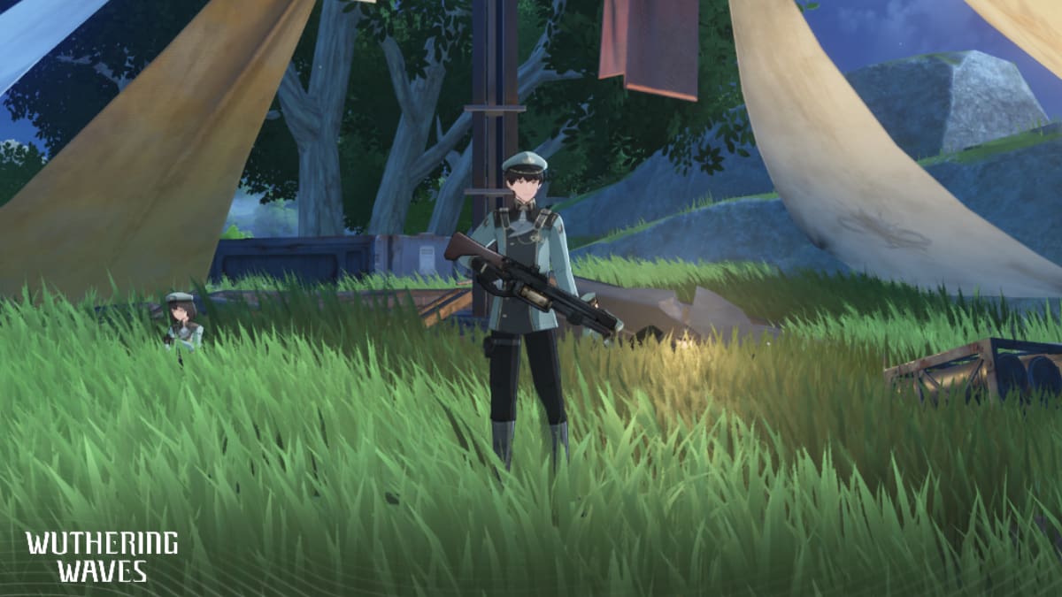 Wuthering Waves Qianshan standing