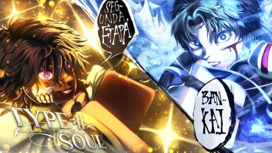 A Arrancar and Soul Reaper fighting each other in Type Soul