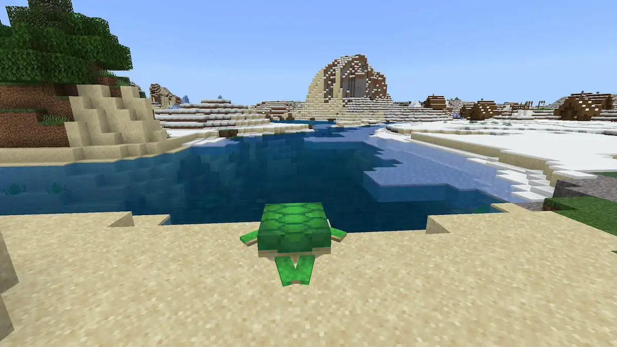A turtle beach next to a Minecraft frozen ocean biome
