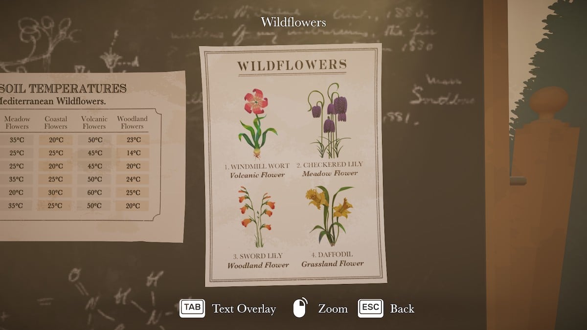 Wildflowers poster in Botany Manor. 