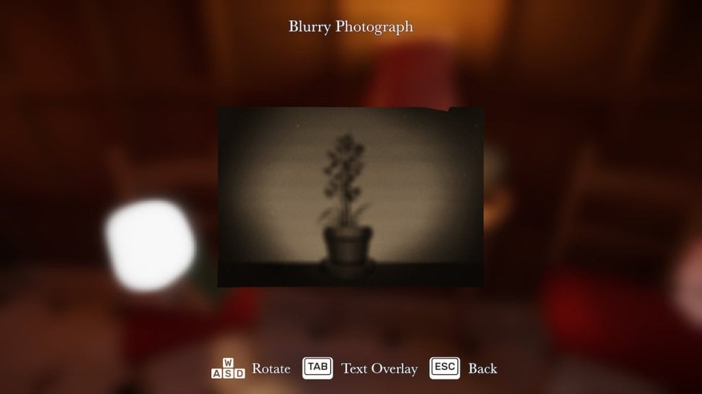 Blurry photograph in Botany Manor.