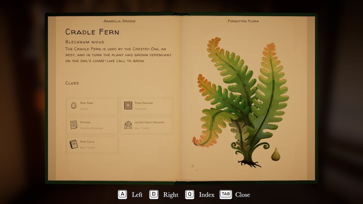 The Cradle Fern page in Botany Manor. 