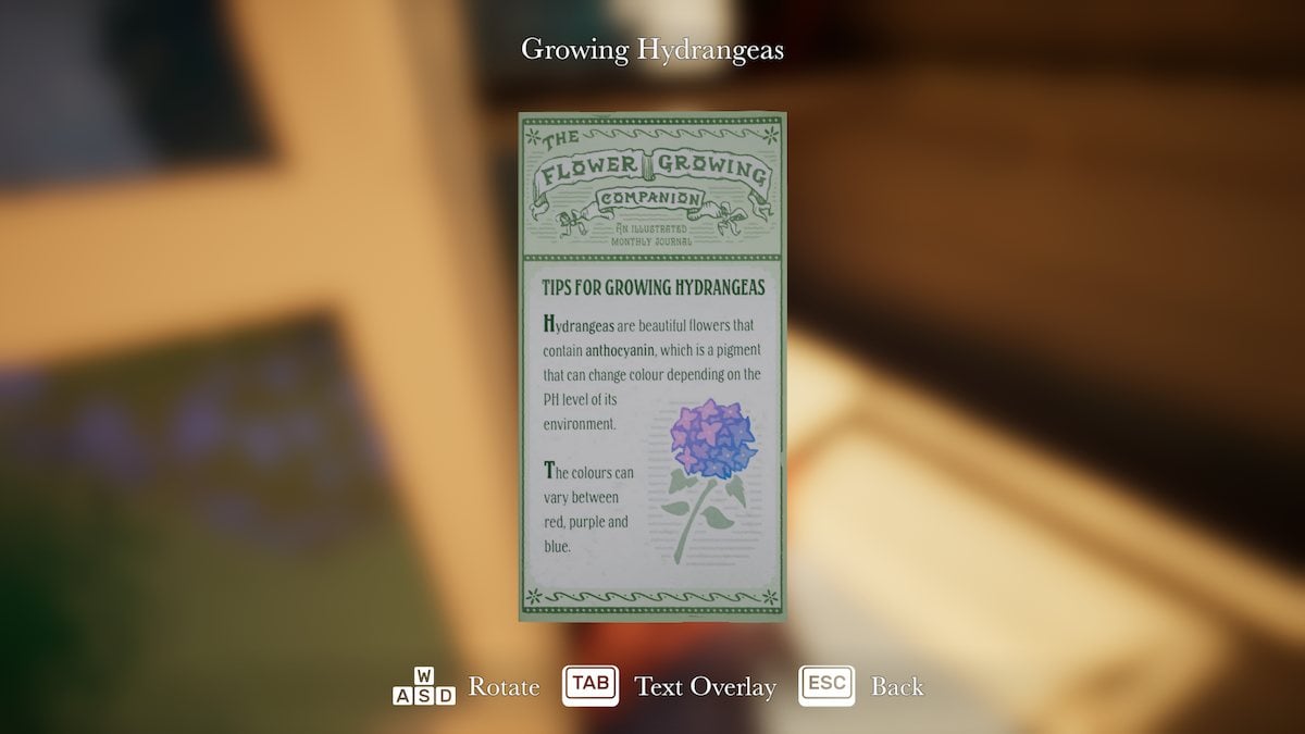 Growing hydrangeas leaflet in Botany Manor.