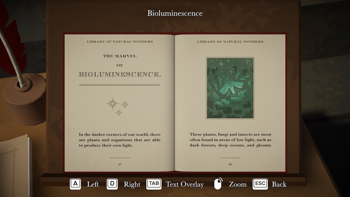 Bioluminescence book in Botany Manor. 