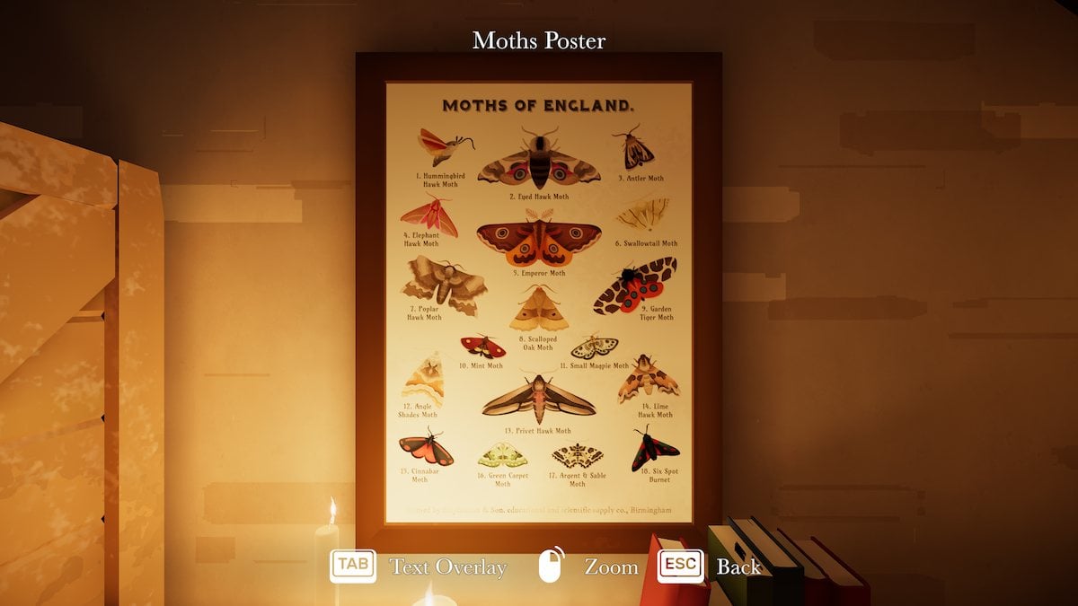 Moth poster in Botany Manor. 