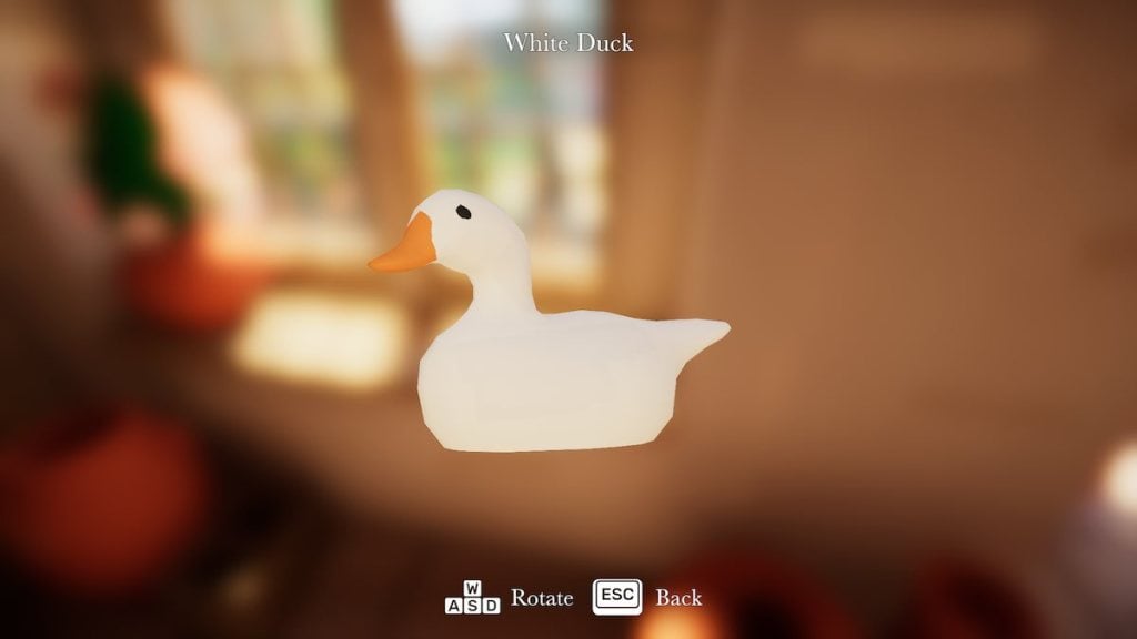 White duck in Botany Manor. 