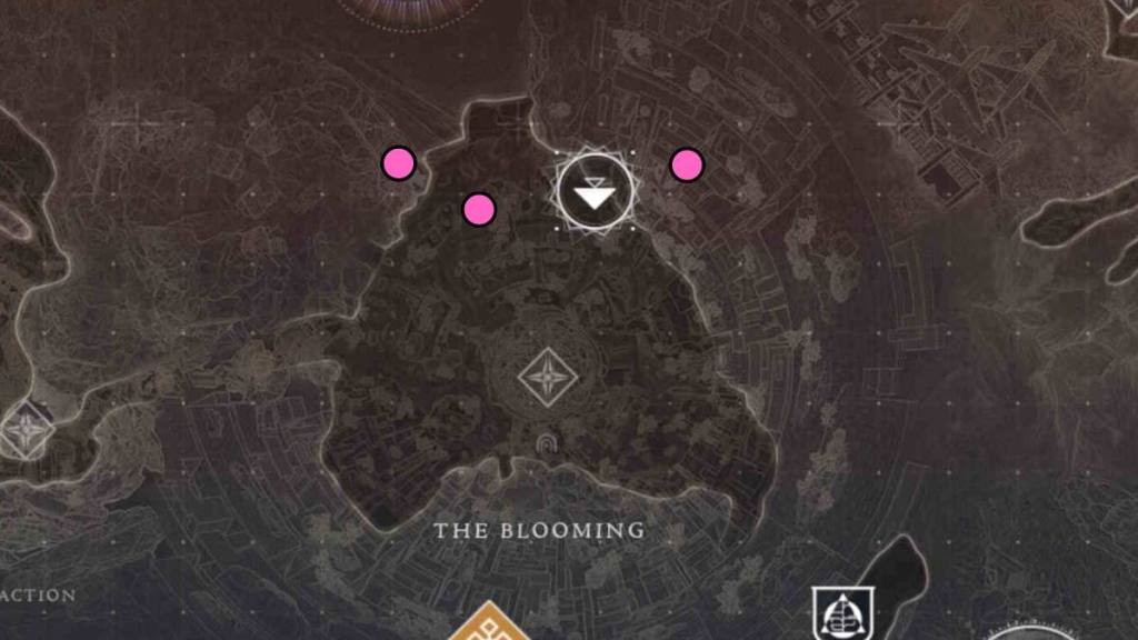 All Region chests in the Bloom in Destiny 2 The Final Form