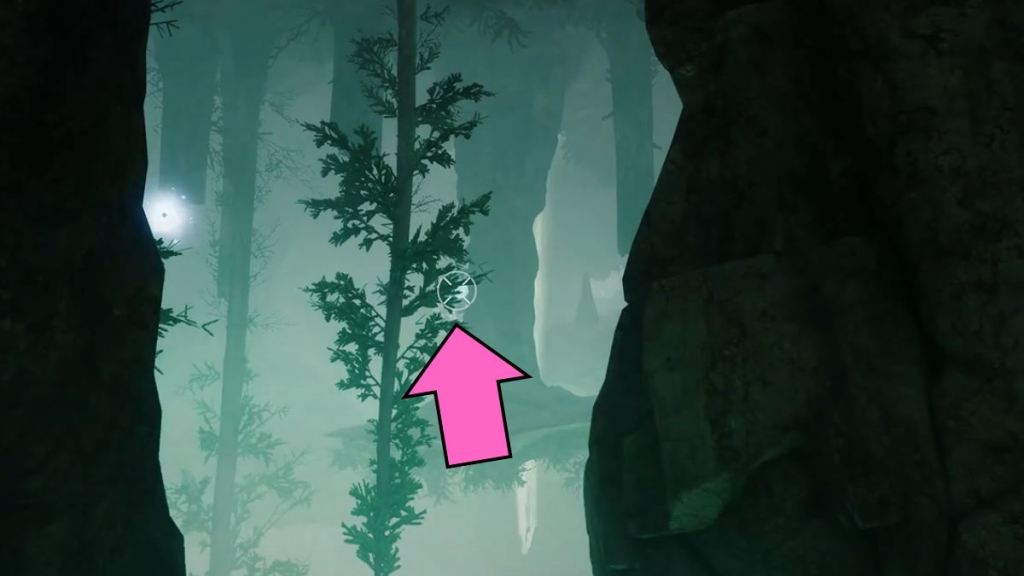 Location of the Light Paracausal Geometry in Destiny 2 The Seclusion
