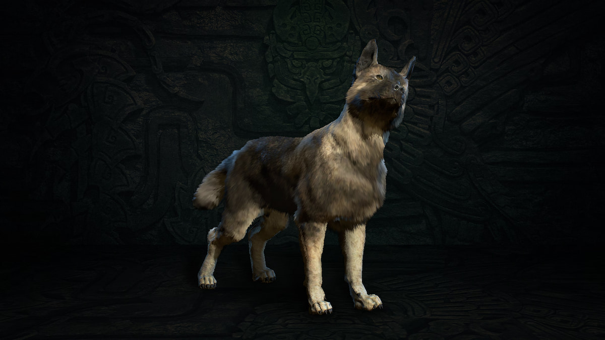 Asheara pet dog in Diablo IV