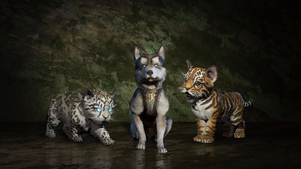 Jaguar, wolf, and tiger baby pets in Diablo 4