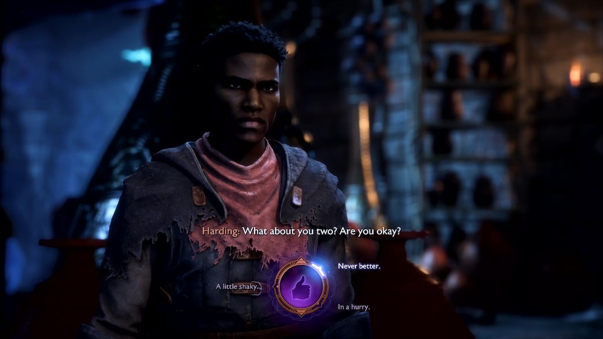 Rook's answer wheel in Dragon Age: The Veilguard.