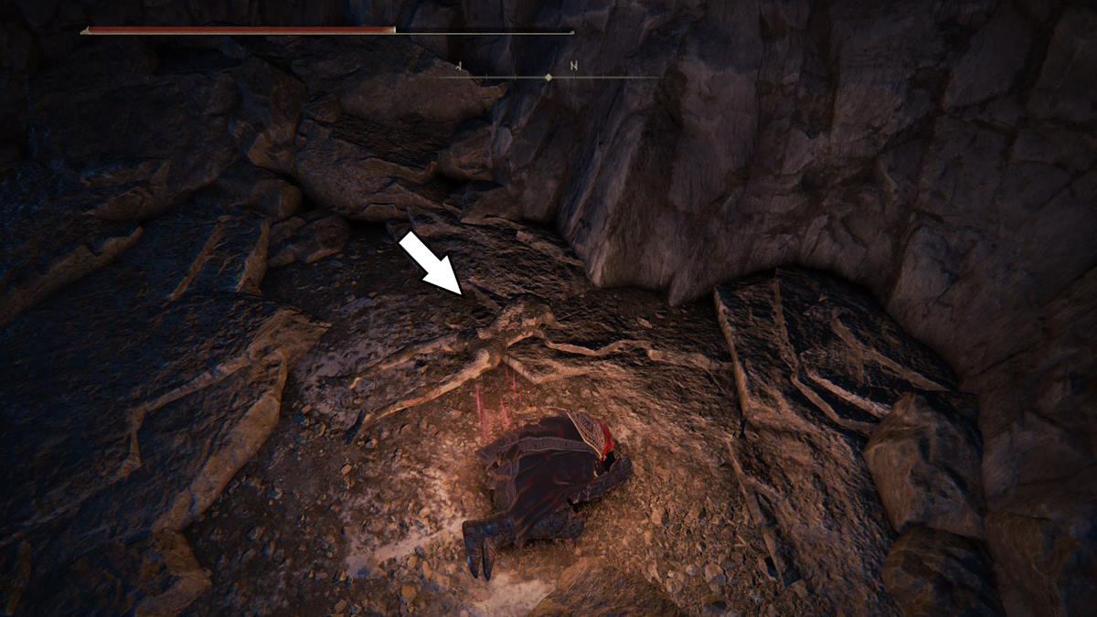 The corpse holding the Resilience talisman in the DLC for Elden Ring.