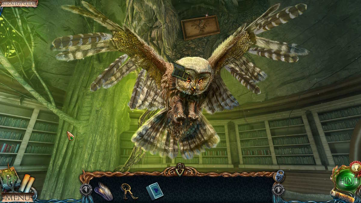 The library owl puzzle solution in the Lost Lands 1 Dark Overlord bonus chapter