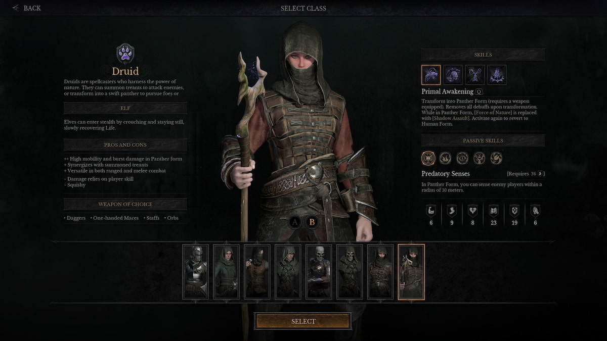 The Druid class in Dungeonborne