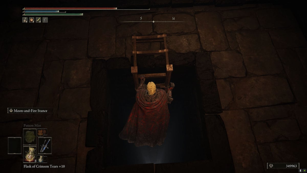 Second ladder leading to hidden painting in Shadow of the Erdtree