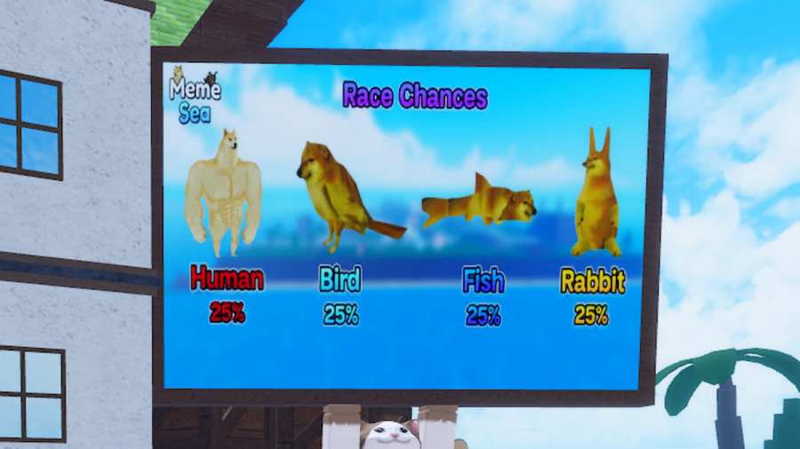 The Race Banner in Meme Sea