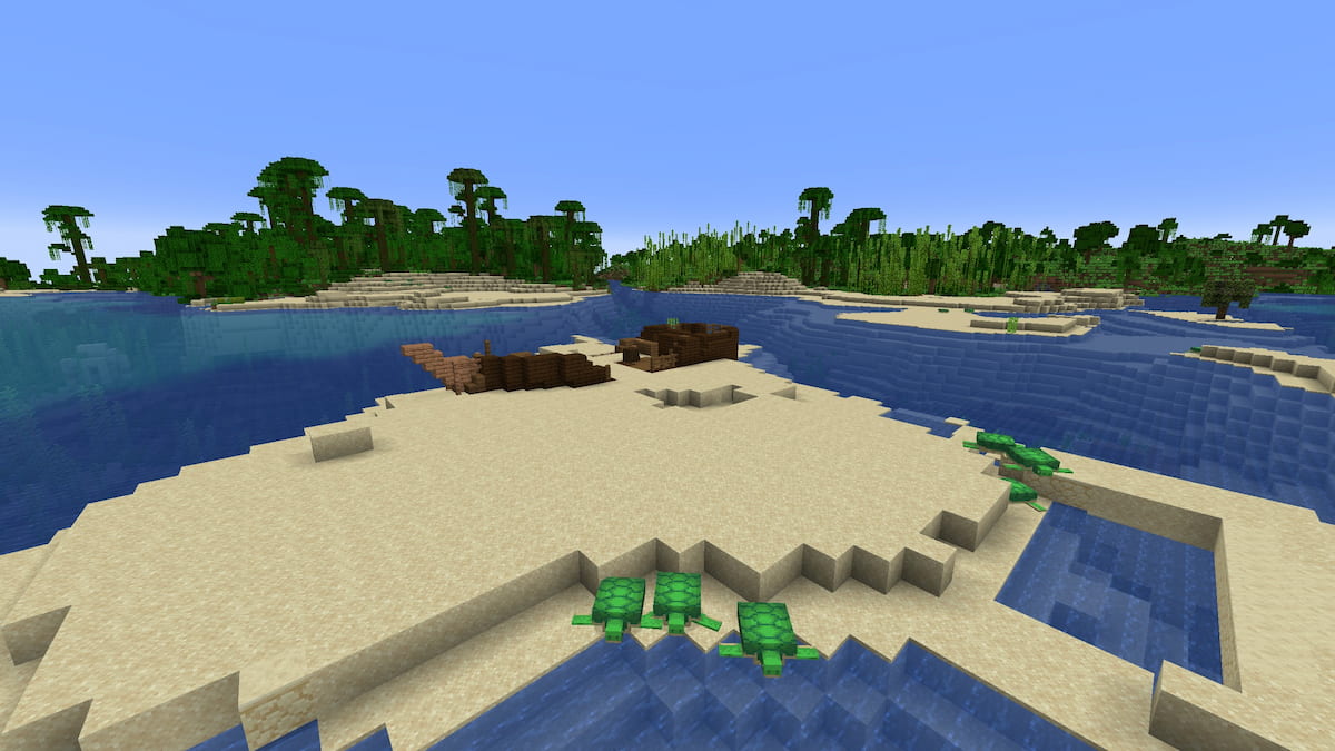 A turtle beach with a Kelp Forest ocean in Minecraft