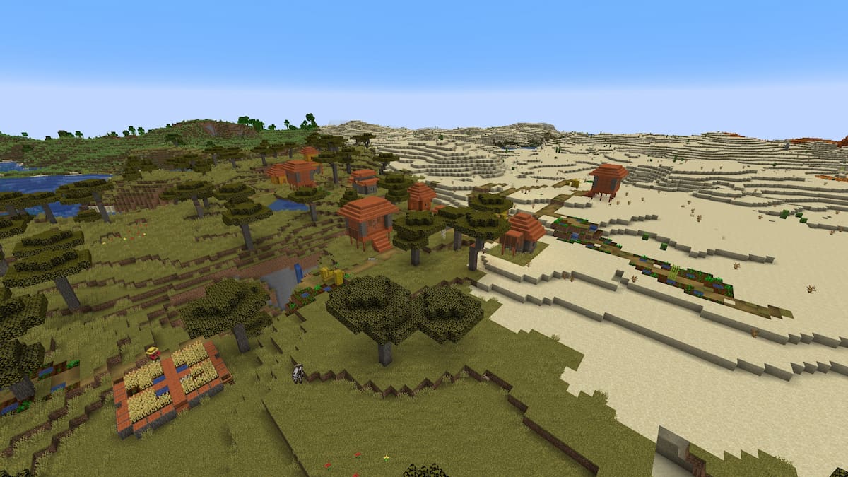 A Minecraft Savanna Village entering a Desert biome