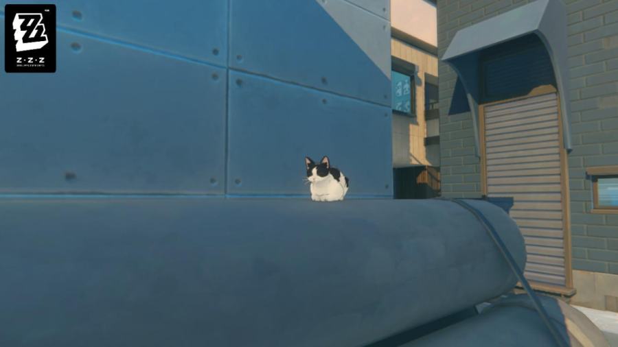 Zenless Zone Zero Foamy on pipes