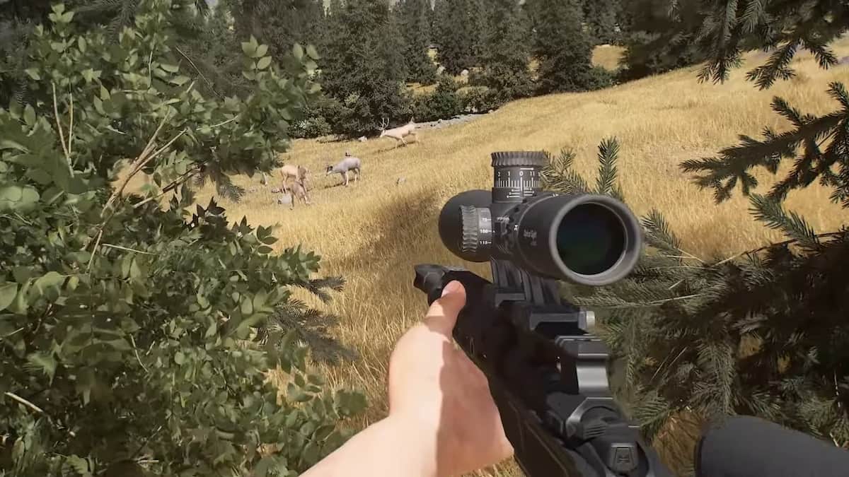 Hunting Sniper trailer screenshot.